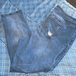 Torrid jeans